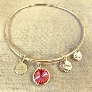 Alex and Ani charm bracelet